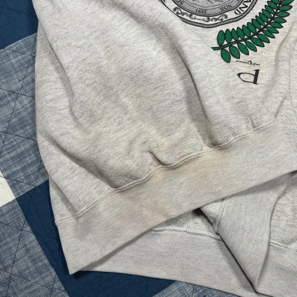 Vintage 1987 Salisbury Maryland Sweatshirt XL Gray My Town Originals Made in USA